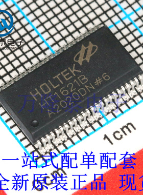 全新原装正品HT1621B 封装SSOP-48 LCD控制器处理器芯片IC