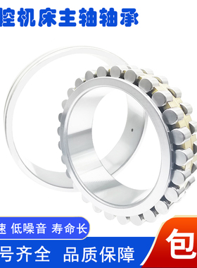 机床主轴进口轴承NN3019 3020 3021 3022 3024 K CC0 1 P5 P4