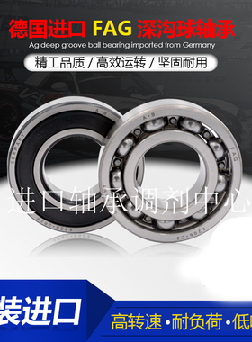 德国FAG进口深沟球密封轴承6000.2ZR  6000-2RSR C3 高速电机轴承
