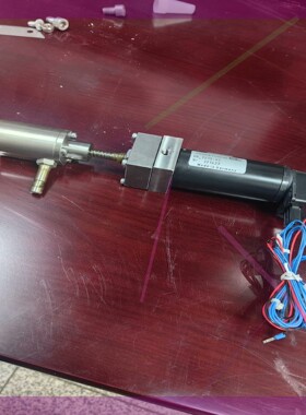 莱默尔DR 1275-03纠偏电机 MAXON 205654