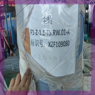 TS.RW.01 1.1 主轴F1