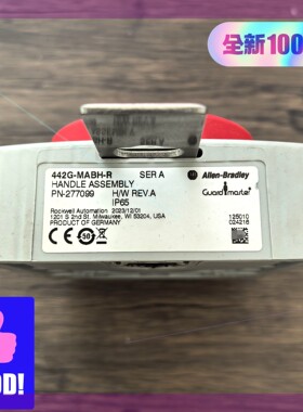 AB罗克韦尔 442G-MABH-R 安全锁