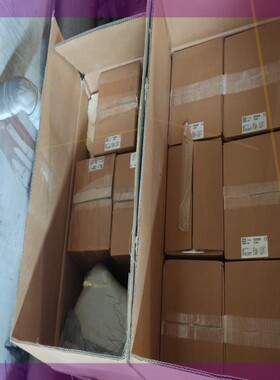 KEB 科比变桨电机 E5SME00-24S0 全新带包装