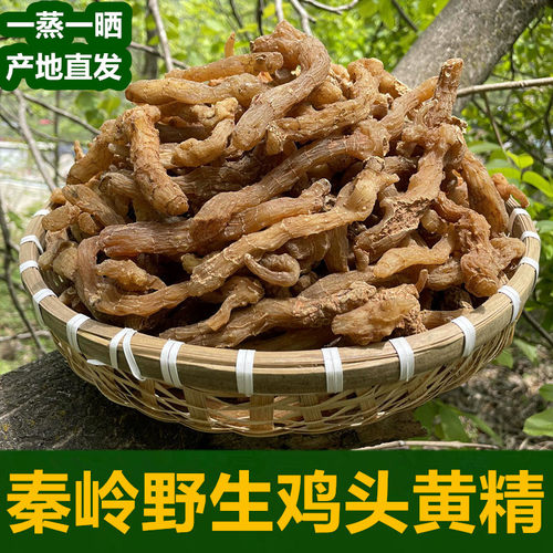 秦岭大山野生鸡头黄精