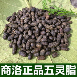五灵脂中药材秦岭商洛五灵脂灵米灵脂块生灵脂寒号虫粪五灵脂粉