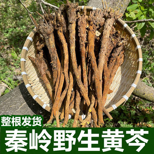 秦岭野生黄芩整颗枯芩