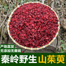2024新货山茱萸秦岭野生山茱萸无核野山萸肉去核枣皮山芋肉中药材