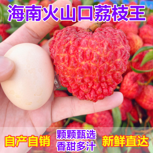 海南荔枝王火山岩新鲜大荔枝当季水果荔枝王整箱顺丰包邮5礼盒装
