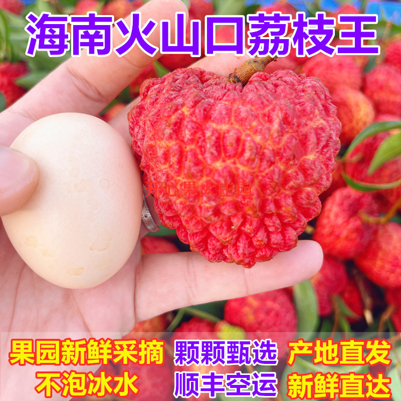 海南荔枝王火山岩新鲜超大荔枝当季水果荔枝王整箱顺丰包邮5礼盒