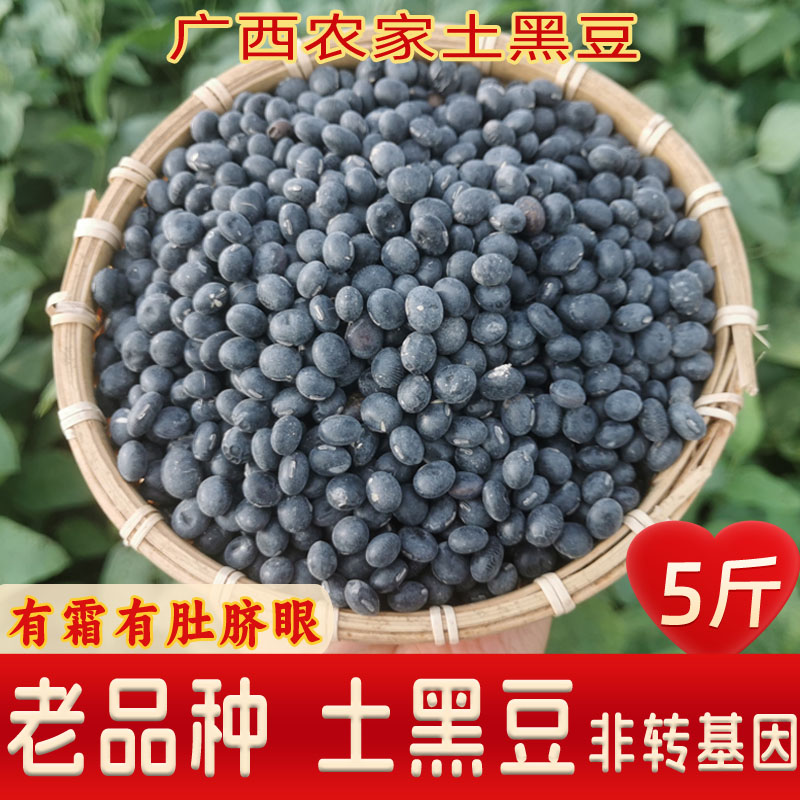 广西老品种黑豆农家自种非转基因黄心绿芯黑豆醋泡豆打豆浆发豆芽