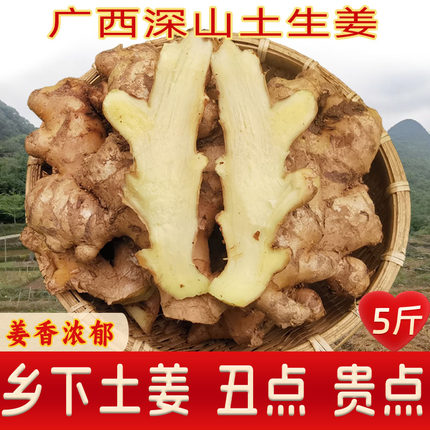 广西山地小黄姜新鲜土姜无硫熏老姜优质本地姜沙姜农家蔬菜月子姜