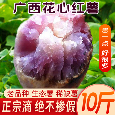 广西花心薯板栗红薯农家自种地瓜高山番薯槟榔薯冰淇淋薯紫薯乌薯