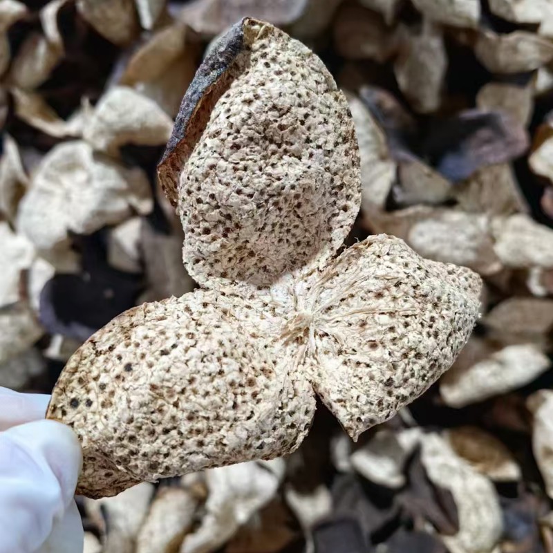 3年5年8年自然干仓新会老陈皮干