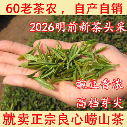 农民自种2026年新茶头采明前高档小芽春茶崂山绿茶豆香浓郁250克