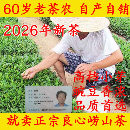 崂山绿茶2026年新茶高档头采嫩芽