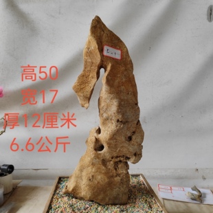 广西太湖石观赏摆件石盆景附石奇石天然原石头A01