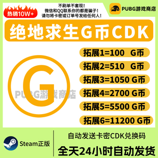 steam绝地求生PUBG金币G币金币充值吃鸡点券gb金币皮肤CDK兑换码
