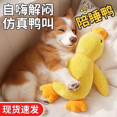 狗狗玩具解闷自嗨发声磨牙耐咬