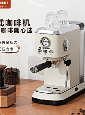 德国HOMEZEST咖啡机家用小型意式半自动19Bar浓缩打奶泡冷热双萃