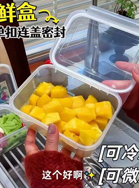 食品级密封冷冻保鲜盒便携式