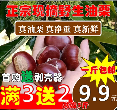 新鲜现摘1斤丹东野生去皮板栗