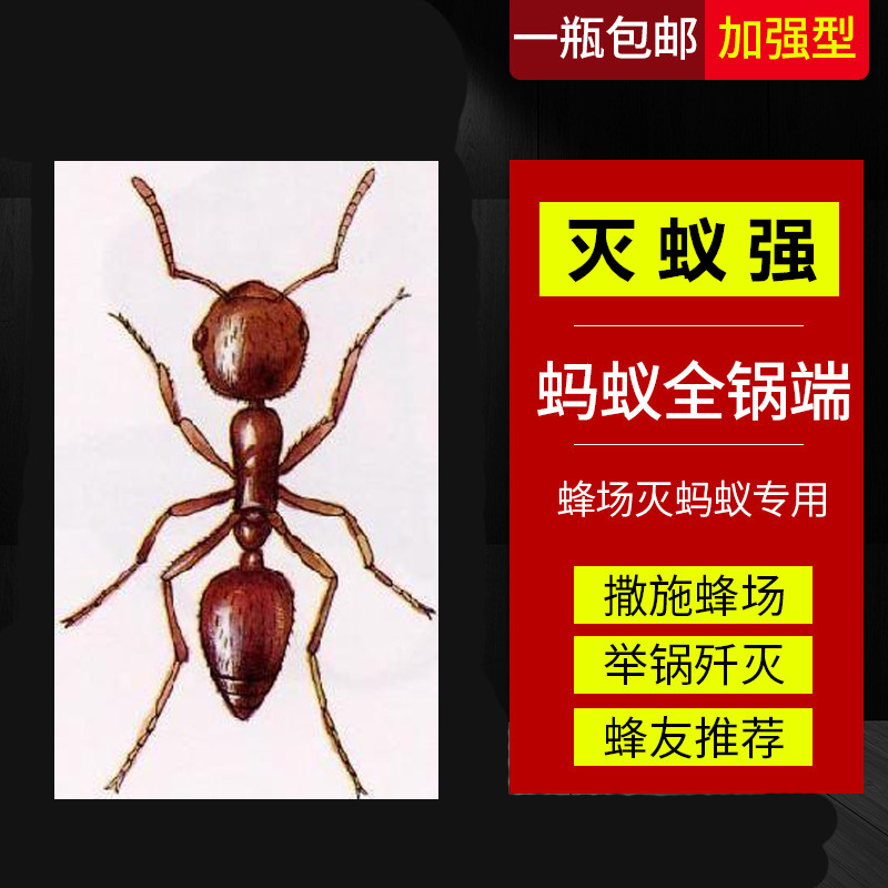 蜂场蚁净蚂蚁药蜂箱底部杀灭蚂蚁粉剂不伤蜜蜂养蜂工具灭蚁强包邮