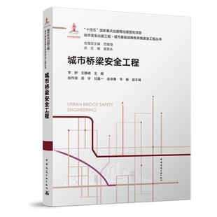 规划项目城市安全出版 物出版 工程·城市基础设施生命线安全工程丛书 十四五国家重点出版 城市桥梁安全工程
