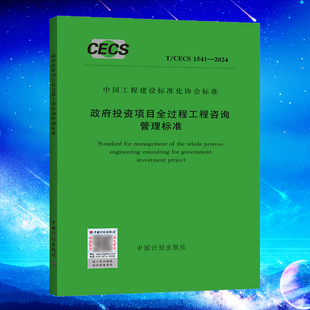 2024 1541 政府投资项目全过程工程咨询管理标准 CECS