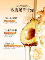 CandyMoyo Honey Ginger Foot Cream Moisturizes and nourishes cracked and rough heels for autumn and winter. 110g large capacity thumbnail 3