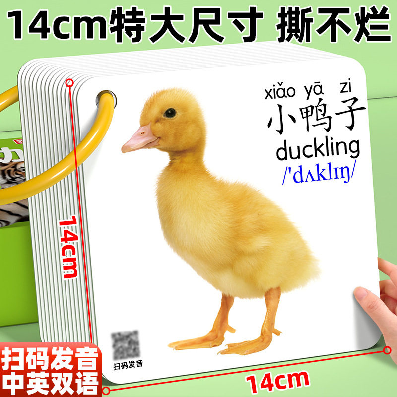 动物卡片早教认知识字看图识物数字启蒙书婴幼儿宝宝一岁益智玩具