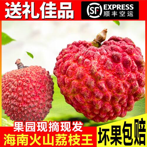 海南荔枝王超大新鲜现摘顺丰空运