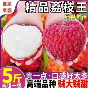 海南荔枝王顺丰空运包邮5斤当季超大个新鲜整箱水果现货现摘现发