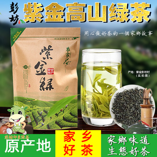 新茶紫金绿茶广东高山云雾特级龙窝客家茶叶散罐装 炒青浓香型250g