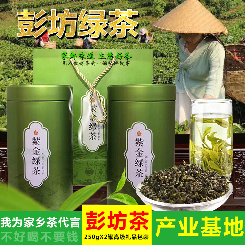 金萱茶广东紫金蝉茶绿茶高山云雾特级客家河源茶叶清香型散装