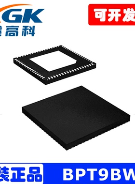 BPT9BW原装进口IC芯片QFN贴片封装-TI/德州仪器-可直拍包邮鑫高科