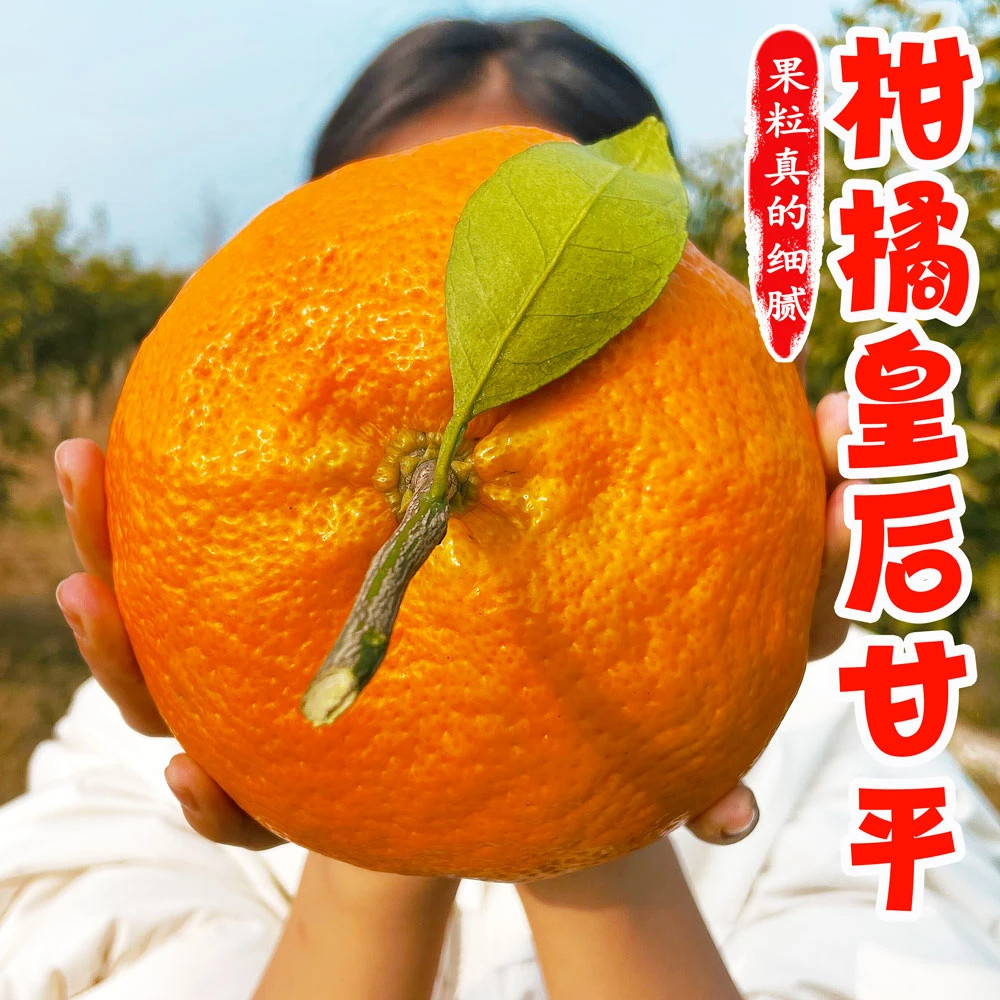 【不用】四川甘平柑橘皇后3/5斤新鲜采摘水果香甜皮薄汁水多个大