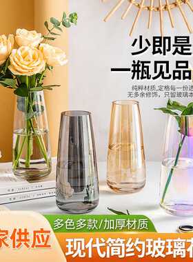 现代简约玻璃花瓶透明水养鲜花电镀花瓶高级感摆件ins风花瓶