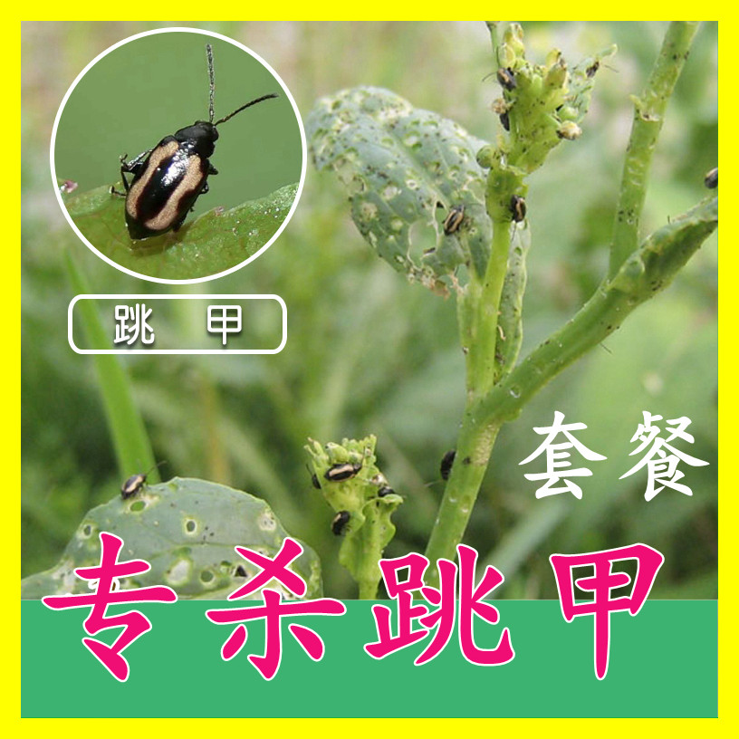 专打跳甲专用药土崩子药治跳甲虫效药杀虫剂蔬菜虫扫光跳甲净新药