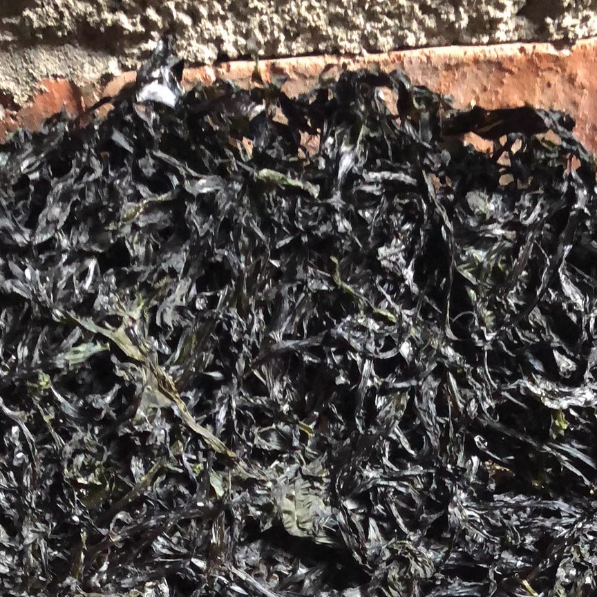 小吴新福建漳浦纯二水半圆饼紫菜干货无沙紫菜汤500g无料包包邮