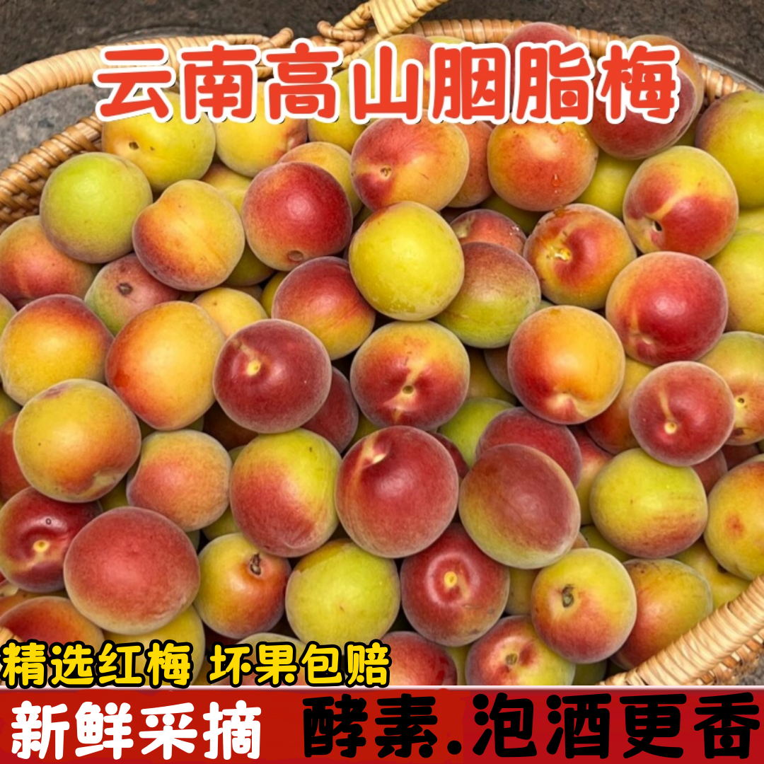 胭脂梅 云南胭脂梅5斤泡酒现摘黄梅高山野生酸梅子新鲜胭脂红梅