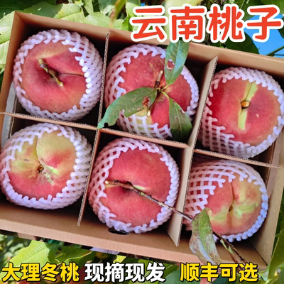 云南桃子高山冬桃现摘现发