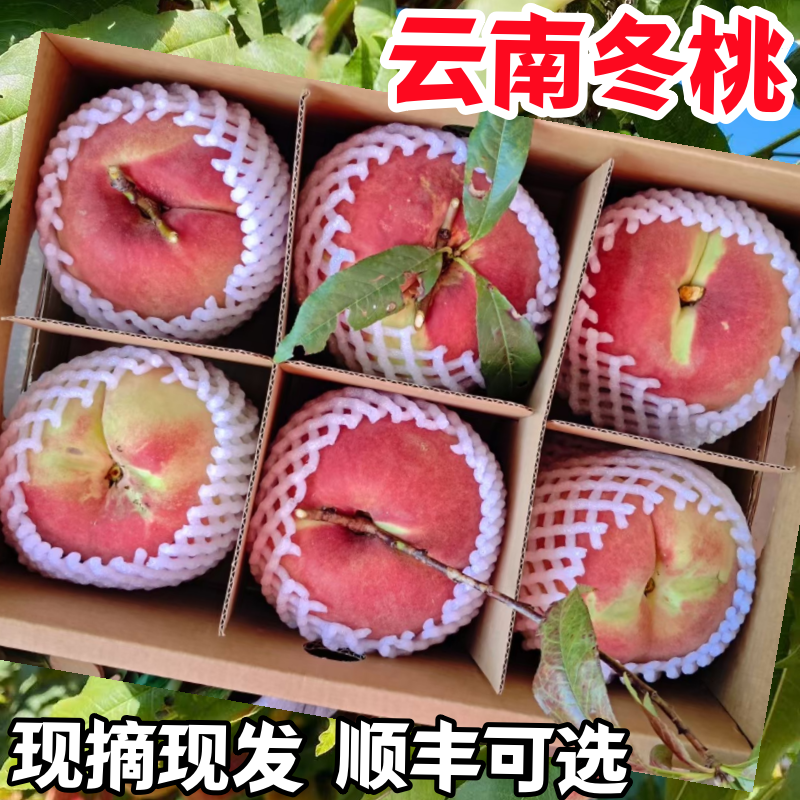 2025现摘云南大理冬桃脆甜毛桃高山桃子整箱包邮孕妇新鲜水果正宗
