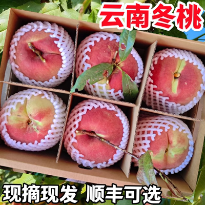 2025现摘云南大理冬桃清甜毛桃高山桃子整箱包邮孕妇新鲜水果正宗