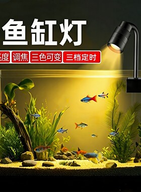卡瑞尔(karell)鱼缸灯南美射灯