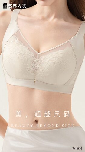 名韩内衣女抹胸聚拢大胸显小CD杯薄款调整型收副乳防下垂文胸504