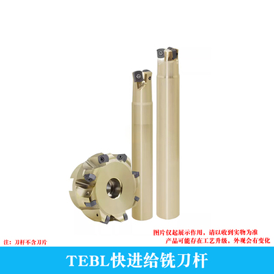 TEBL快进给铣刀杆高盘