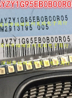 SAYZY1G95EB0B00R05  原装现货