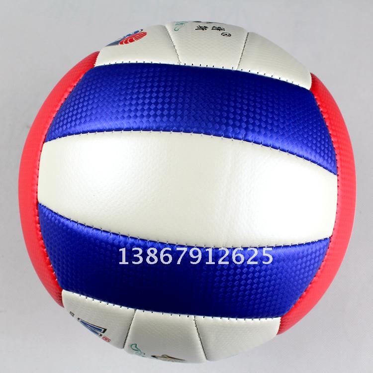 Ballon de volley-ball - Ref 2008719 Image 3