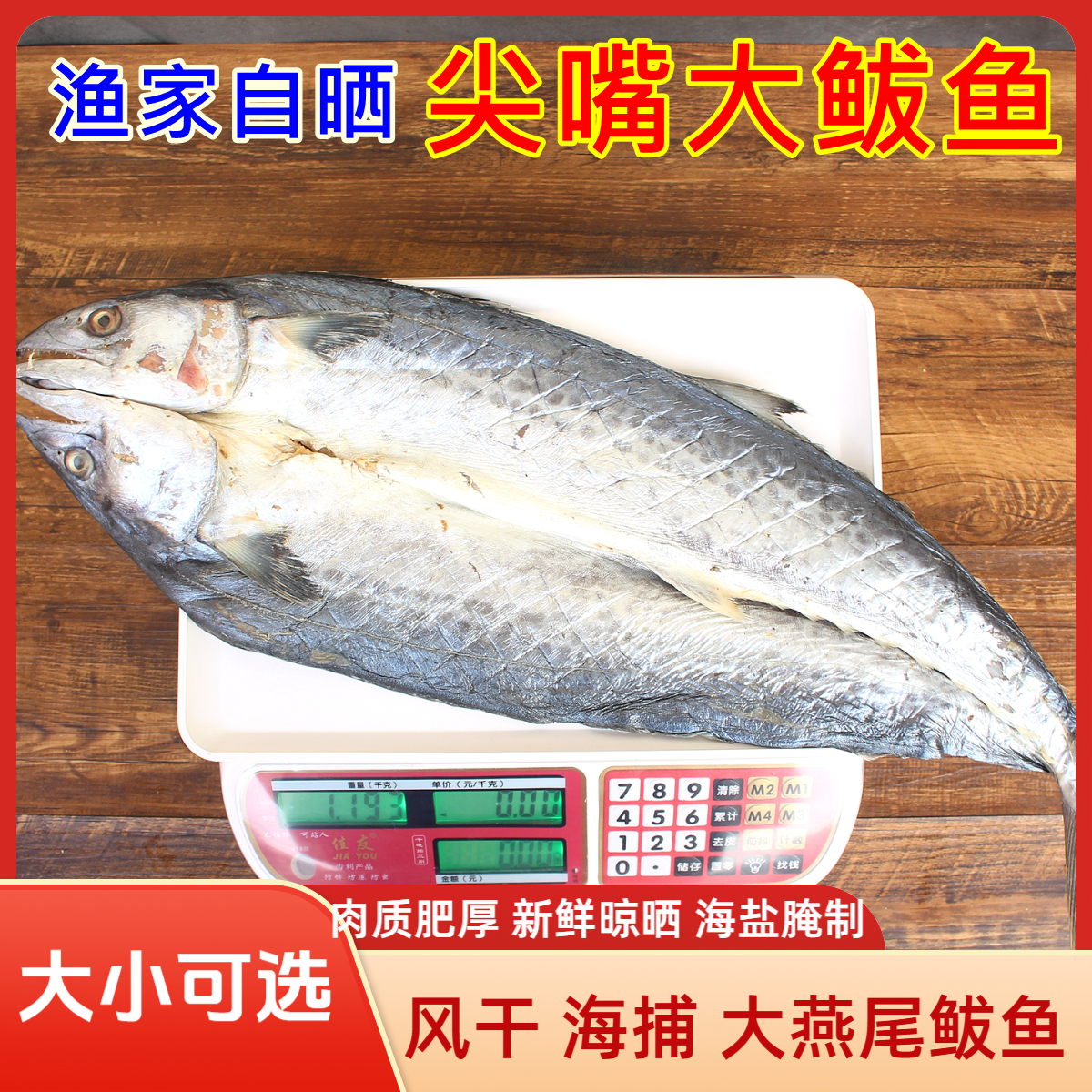 日照【鲅鱼干5斤】新鲜野生燕尾鲅鱼风干腌制半干新鲜马鲛鱼干
