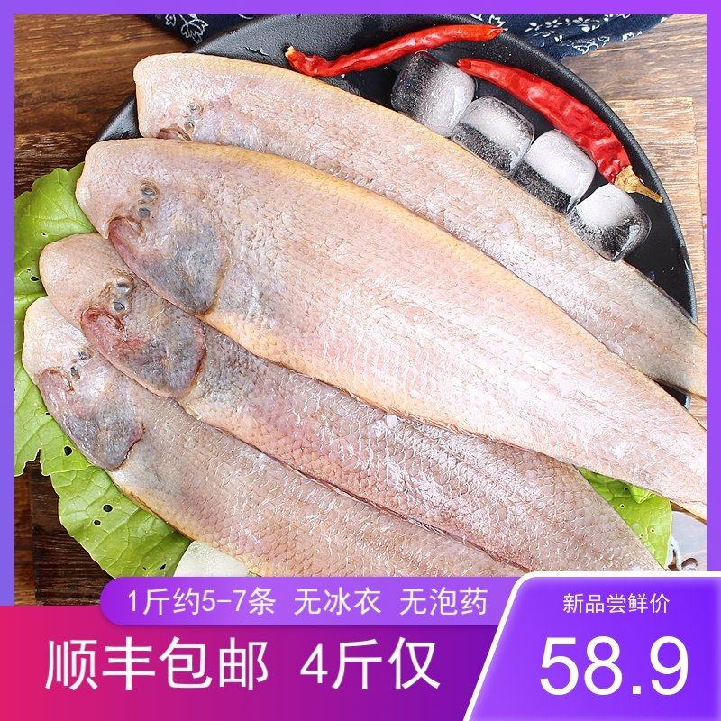 新鲜海捕龙利鱼舌头鱼鲜活冷冻海鱼踏板鱼非巴沙鱼4斤装顺丰包邮